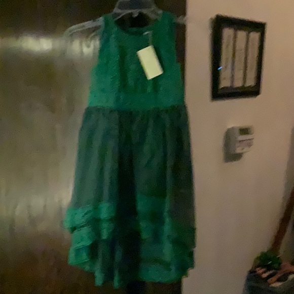 NWT Trish Scully emerald delphine high low dress - Picture 3 of 7
